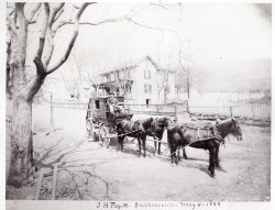 history-20110831Carrington-JH.Fagitt.1888-250